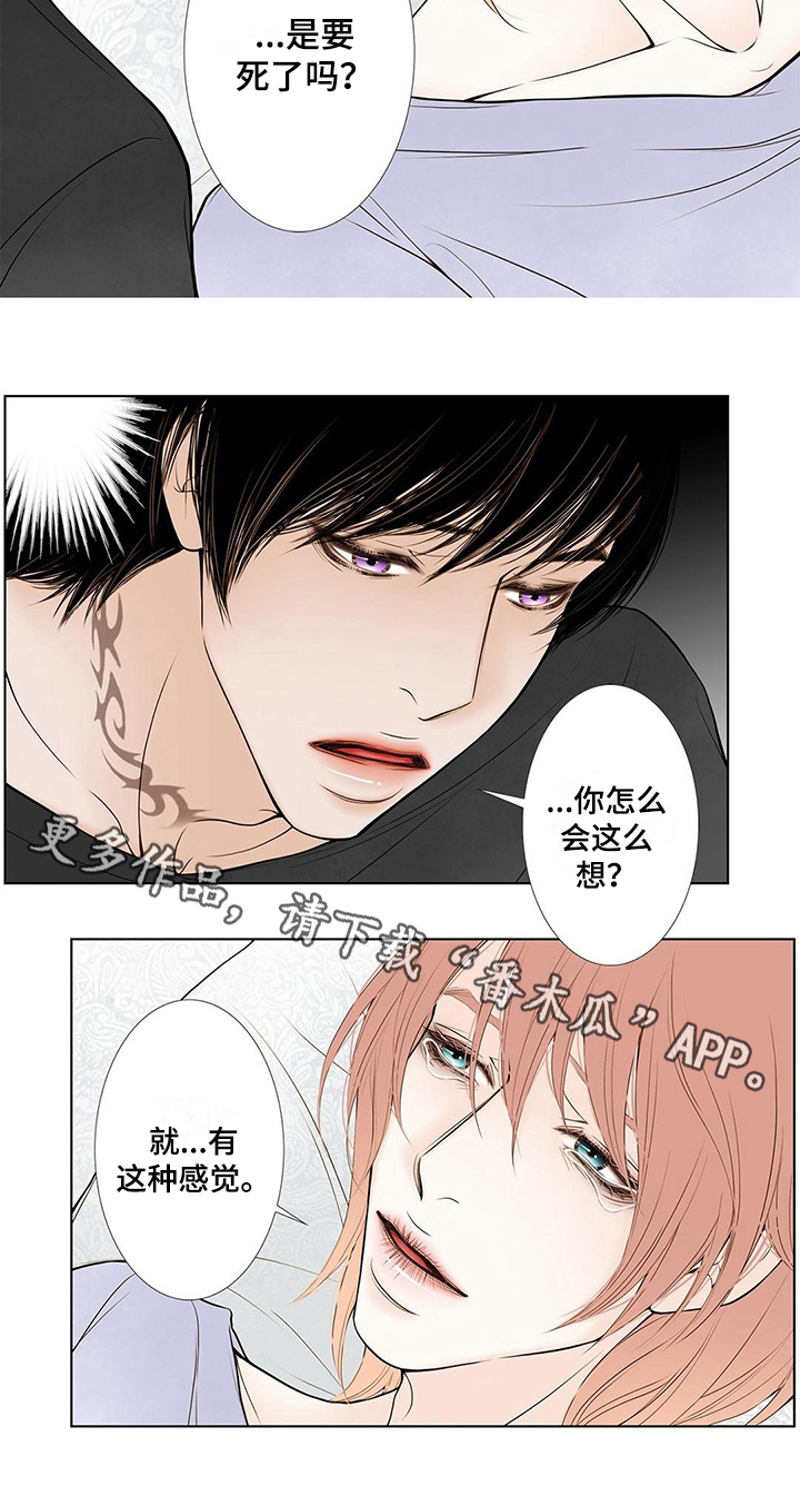 《灵魂争夺》第26章办法 第10页