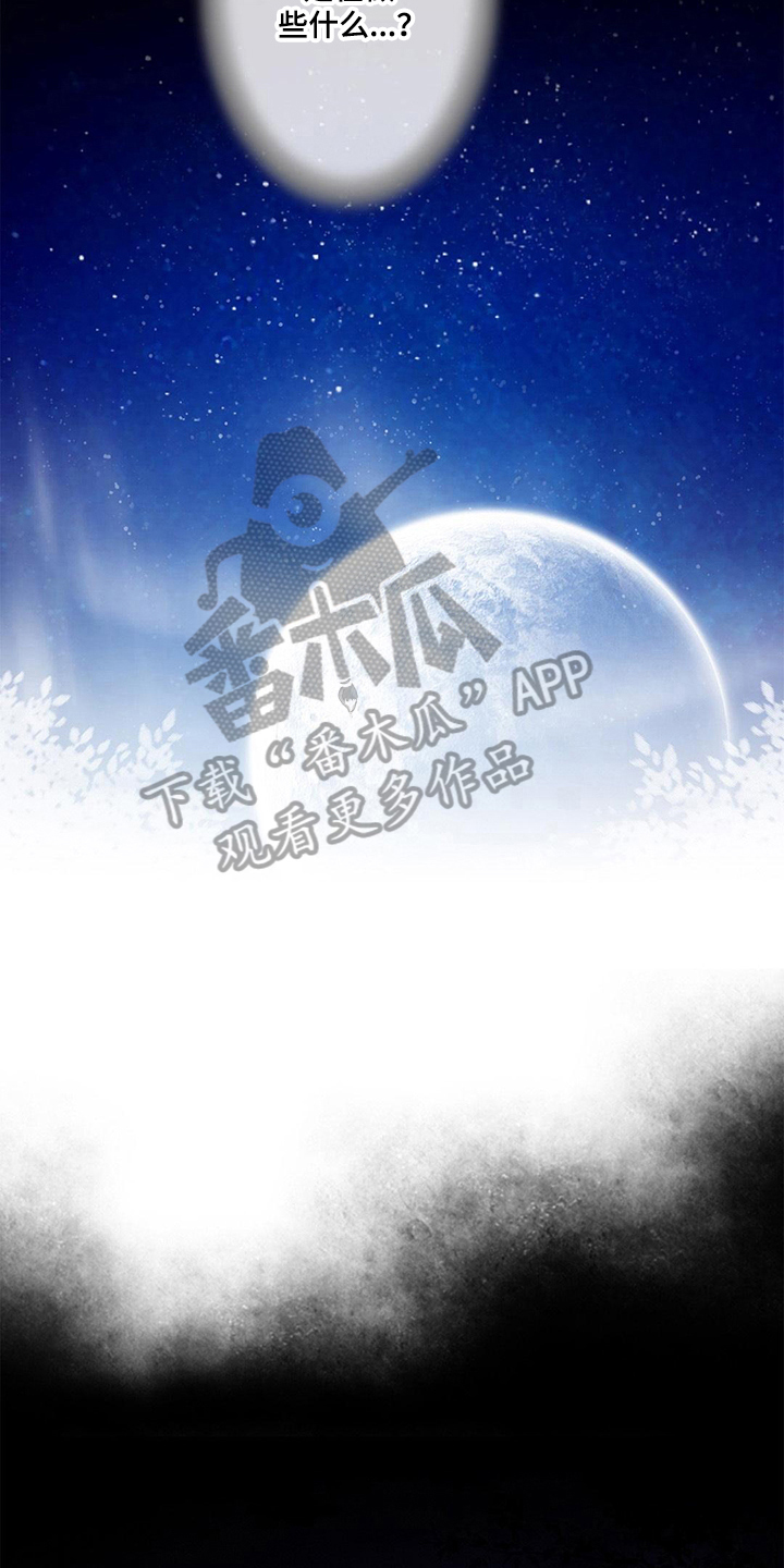 《灵魂争夺》第23章命令 第4页