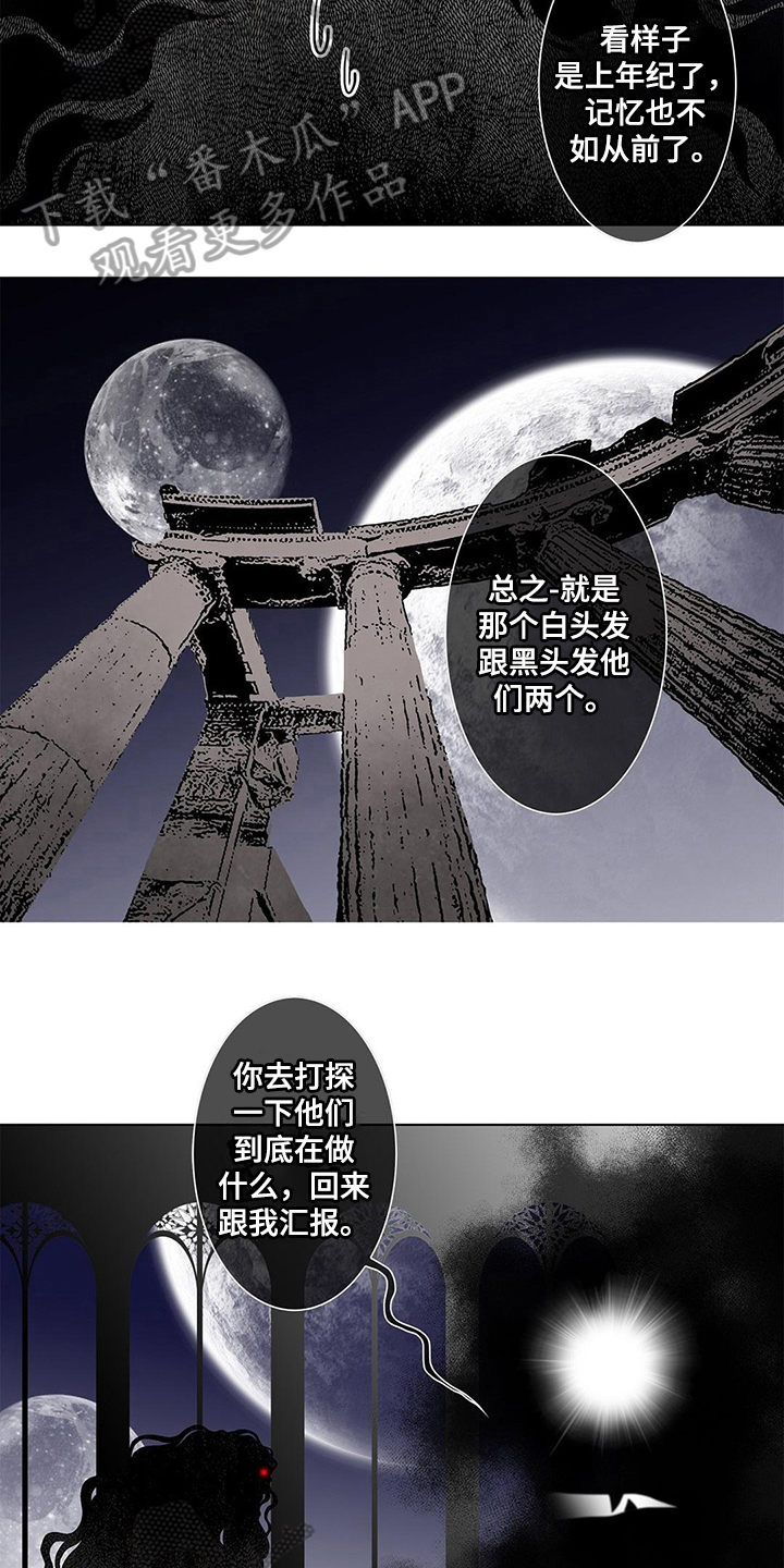 《灵魂争夺》第23章命令 第8页