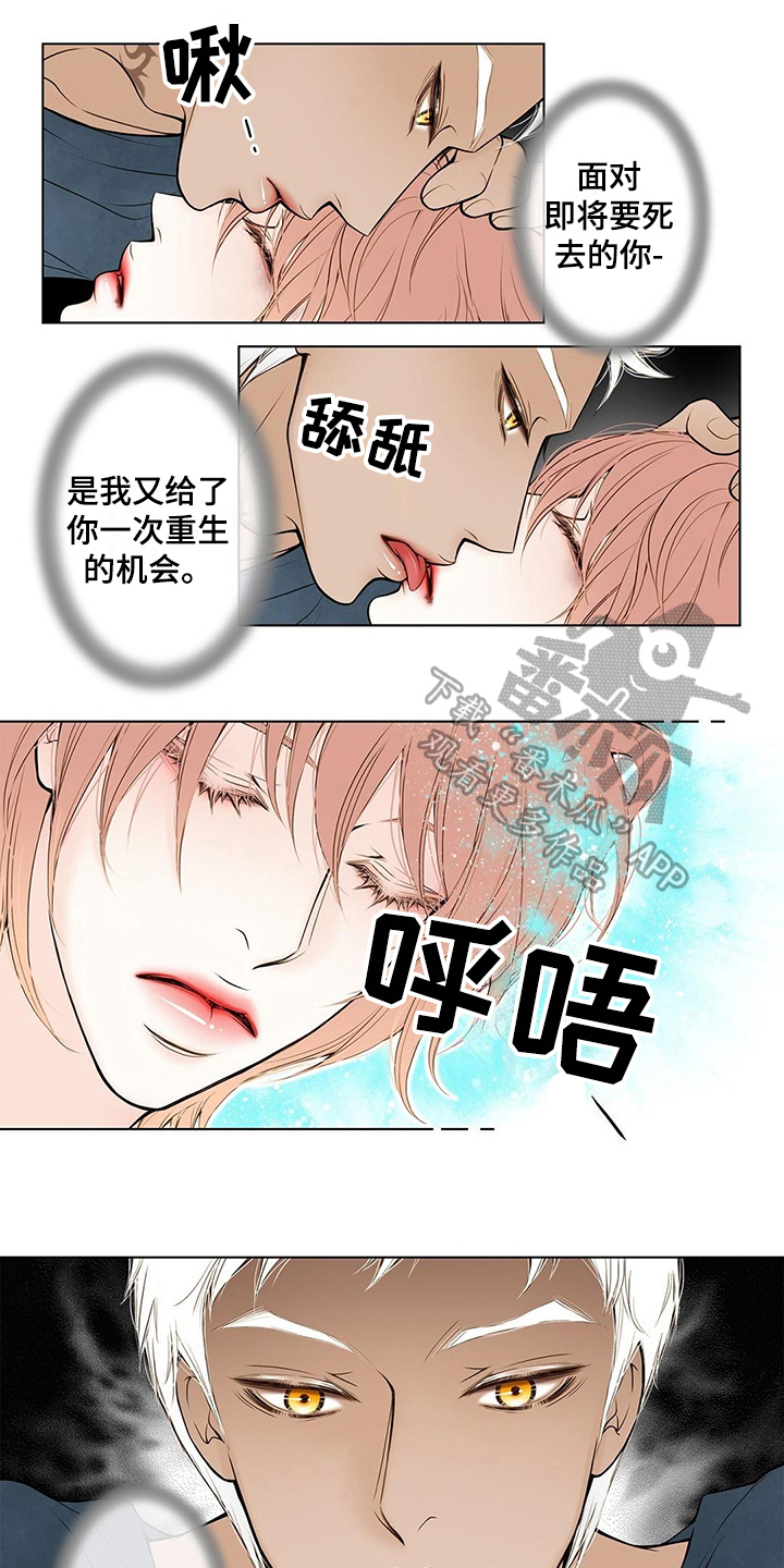 《灵魂争夺》第19章欺负 第1页