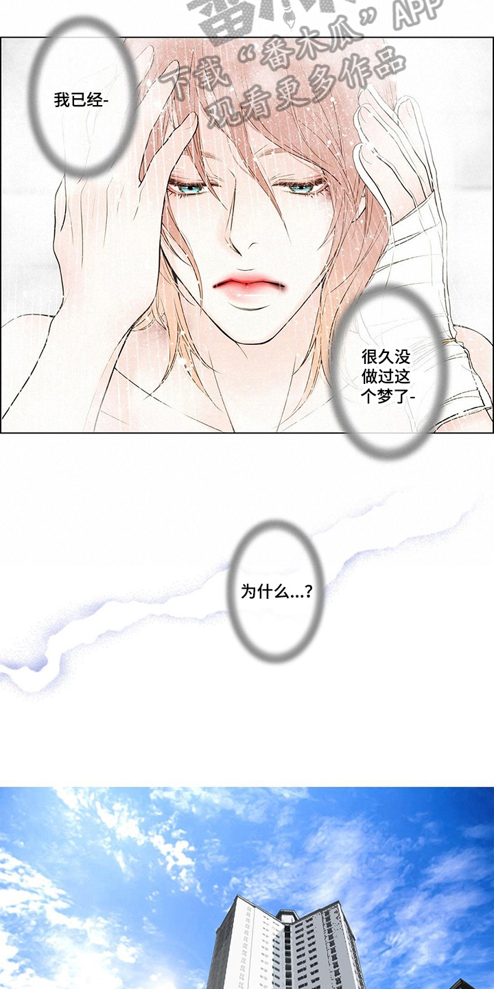 《灵魂争夺》第9章难忘的梦 第5页