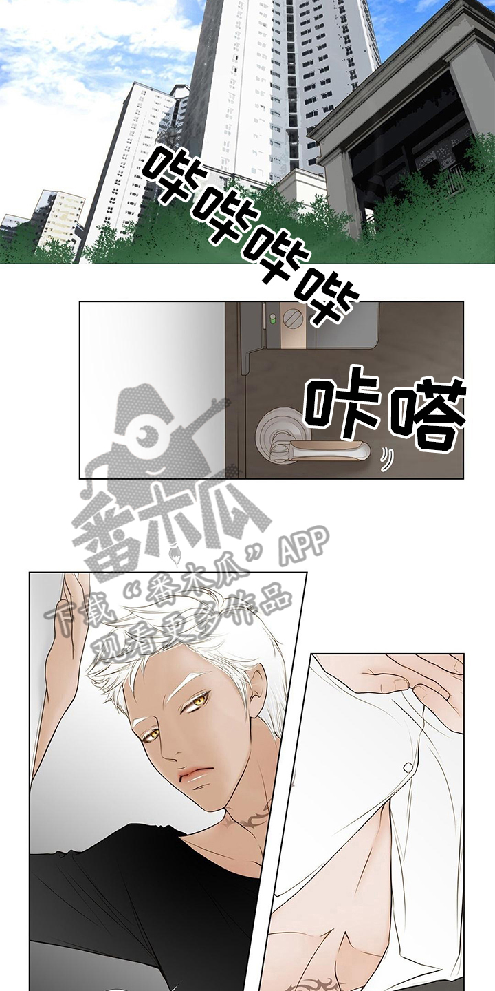 《灵魂争夺》第9章难忘的梦 第6页