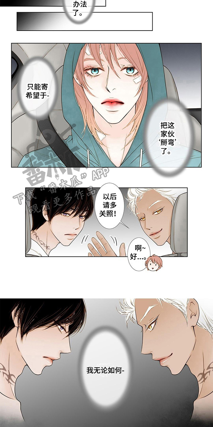 《灵魂争夺》第6章谩骂 第7页