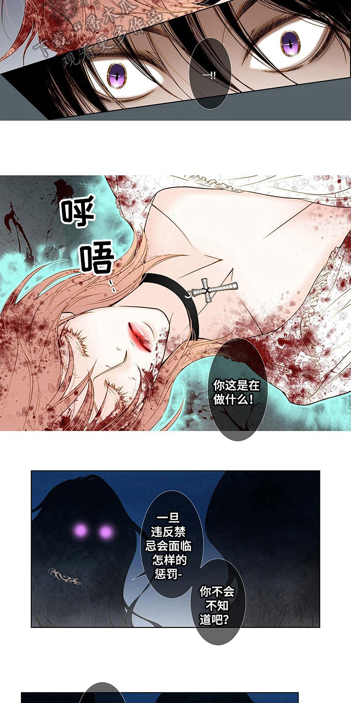 《灵魂争夺》第4章规则 第4页