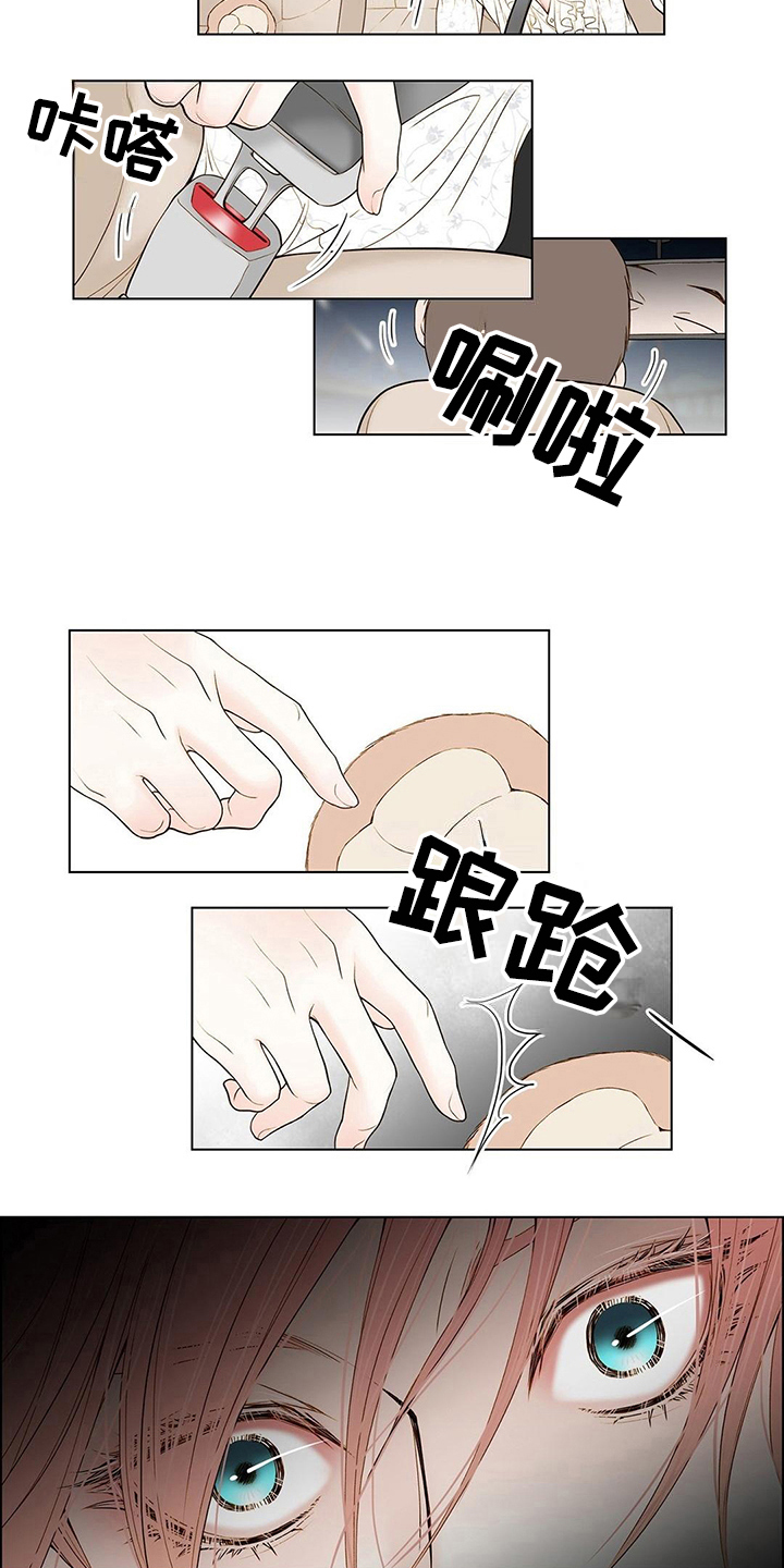 《灵魂争夺》第2章车祸 第6页
