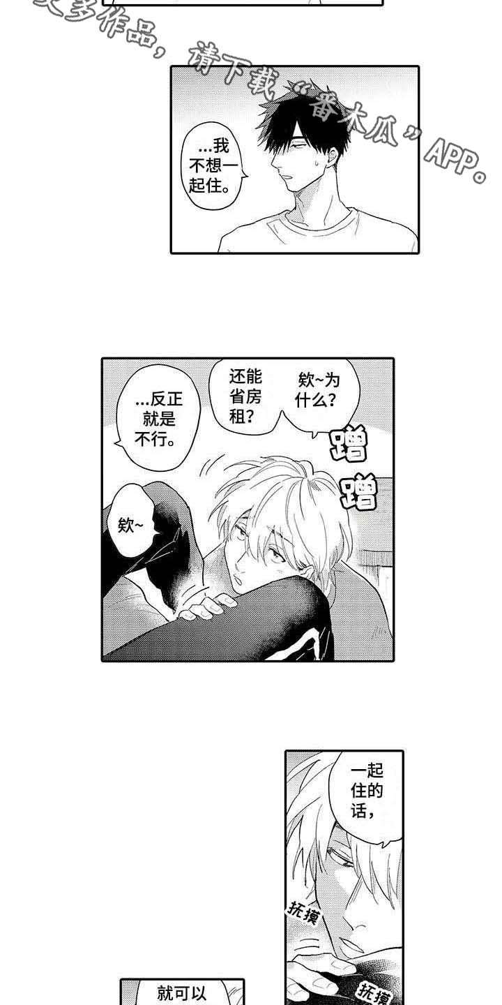 《隐瞒心意》第21章撒娇 第7页