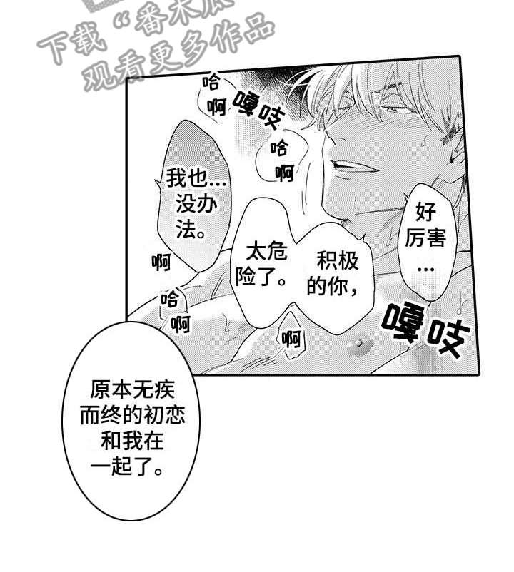 《隐瞒心意》第19章如愿以偿 第9页