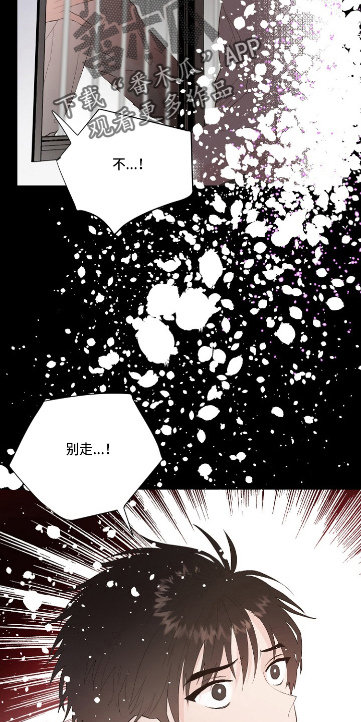 《恶魔赌局》第31章恶心 第11页
