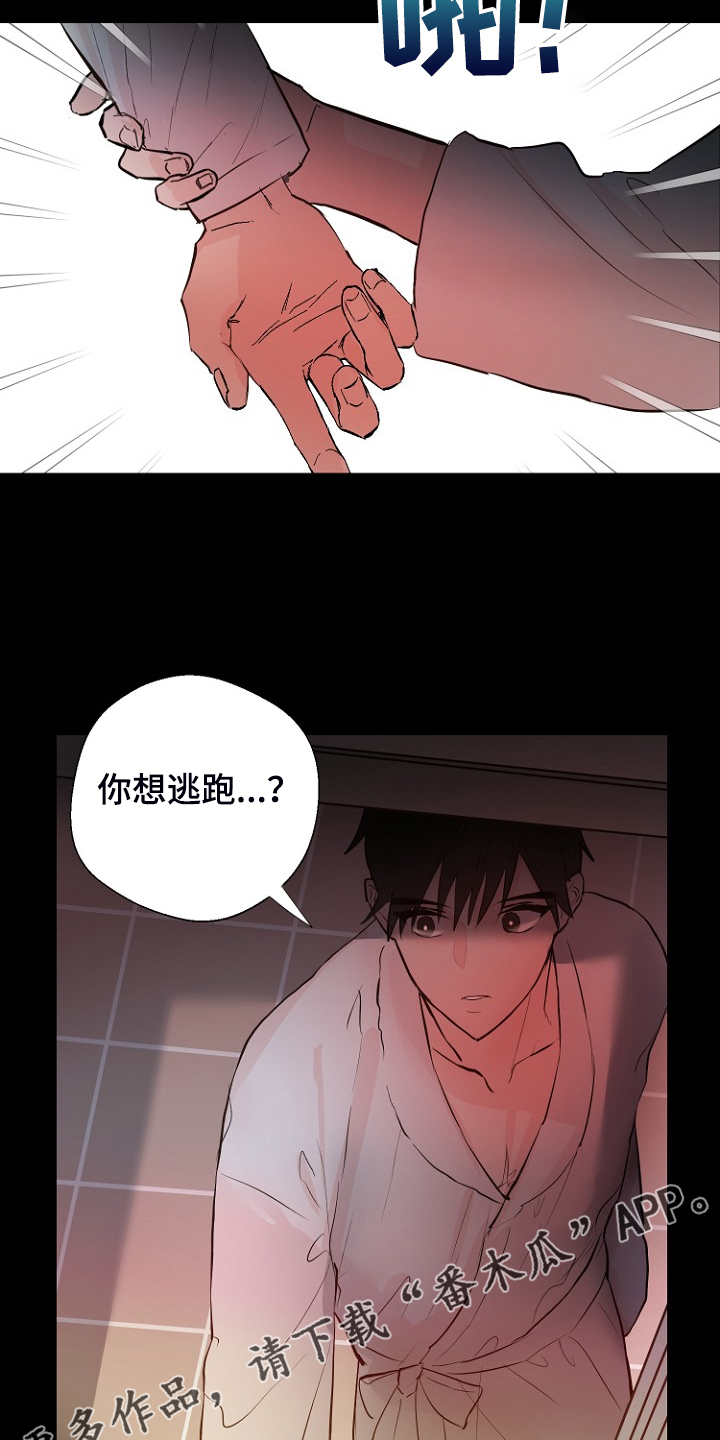 《恶魔赌局》第26章拿回日记 第18页