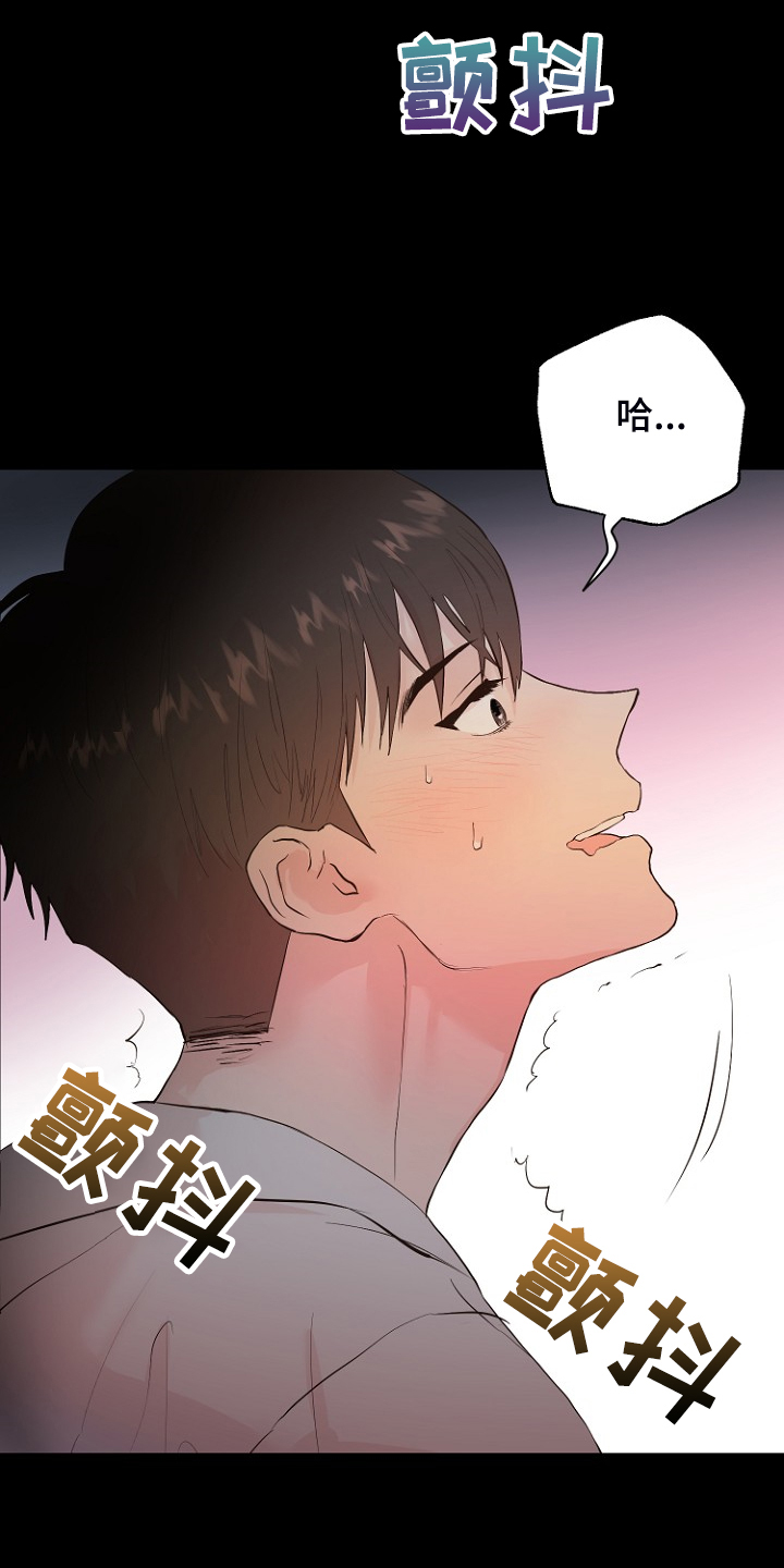《恶魔赌局》第27章那双眼睛 第13页
