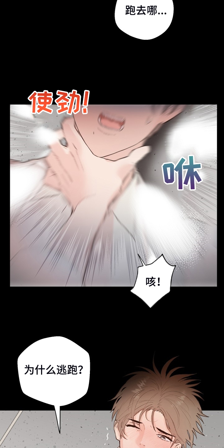 《恶魔赌局》第27章那双眼睛 第5页