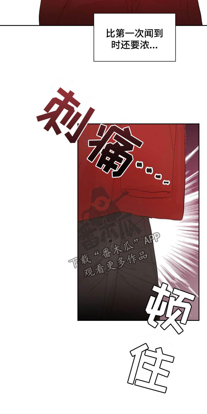 《恶魔赌局》第15章回不去了 第24页