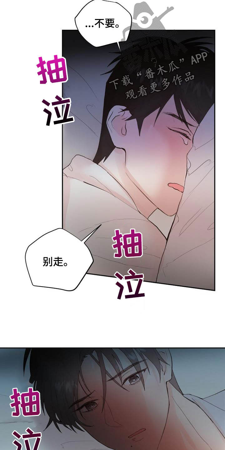 《恶魔赌局》第15章回不去了 第3页