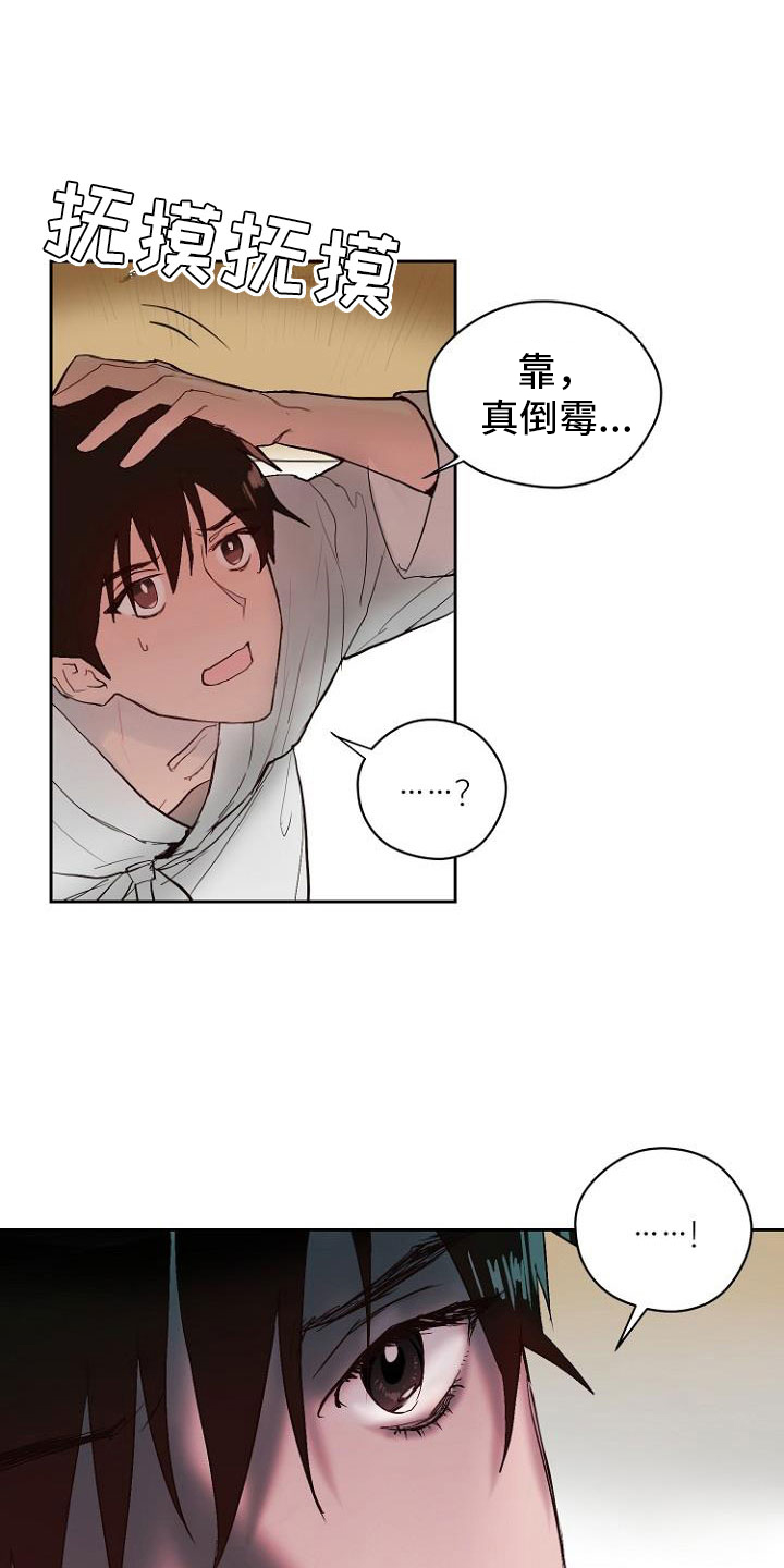 《恶魔赌局》第10章死亡留言 第24页