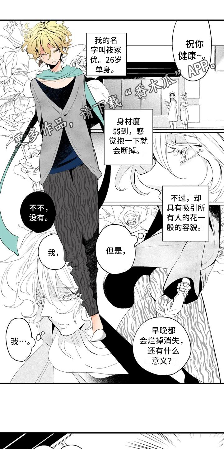 《爱的照片》第16章【番外】怀疑 第1页