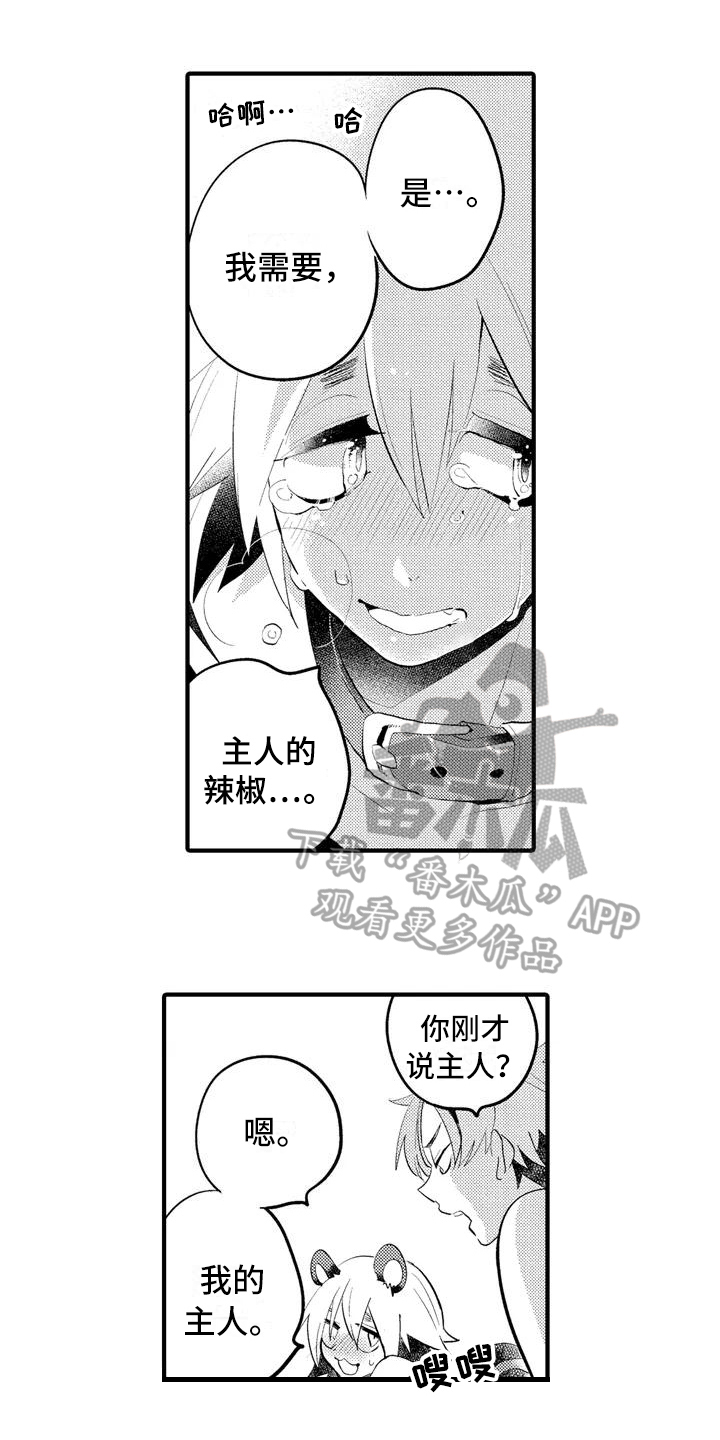 《爱的照片》第15章【番外】一无所有 第4页