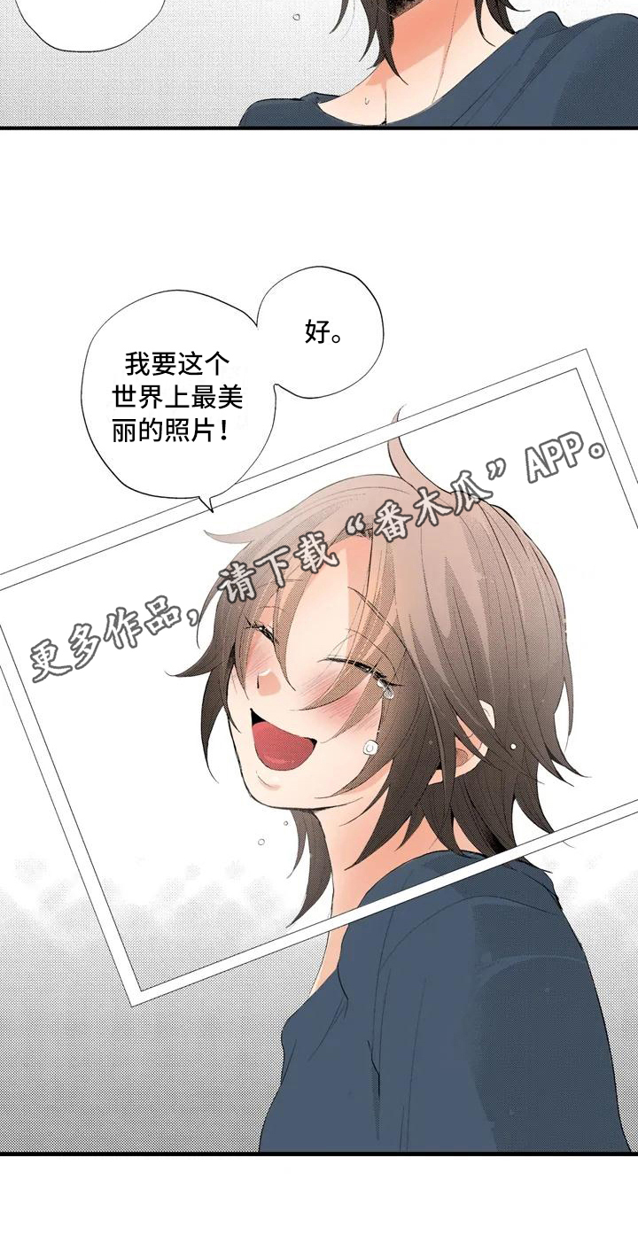 《爱的照片》第13章最美的照片【完结】 第18页