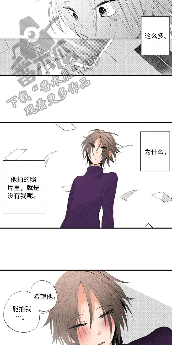 《爱的照片》第12章分享 第14页