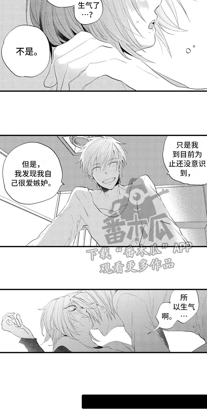 《爱的照片》第11章嫉妒 第4页