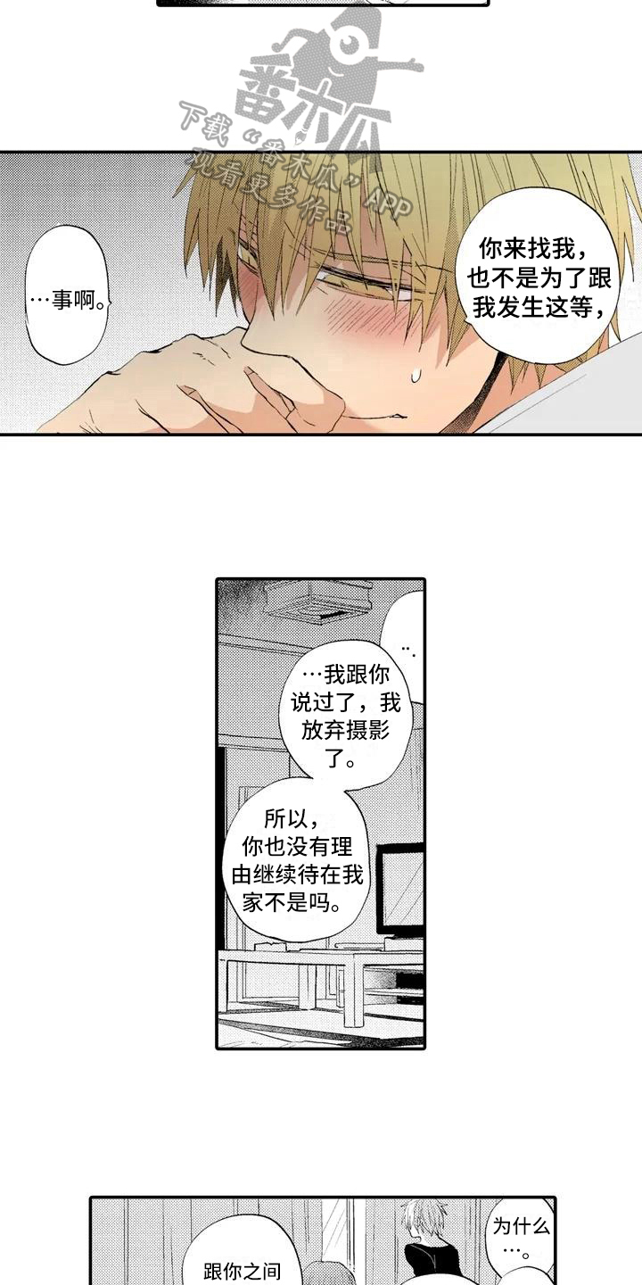 《爱的照片》第4章撒谎 第11页