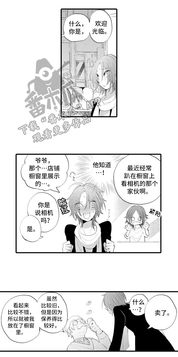 《爱的照片》第6章询问 第10页