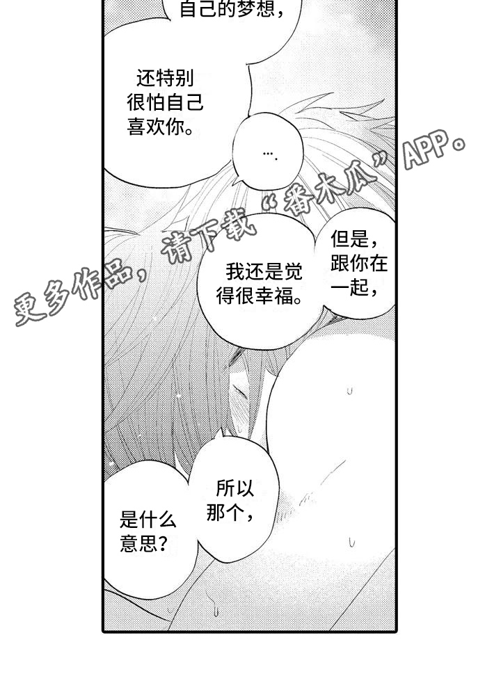 《爱的照片》第5章喜欢 第13页