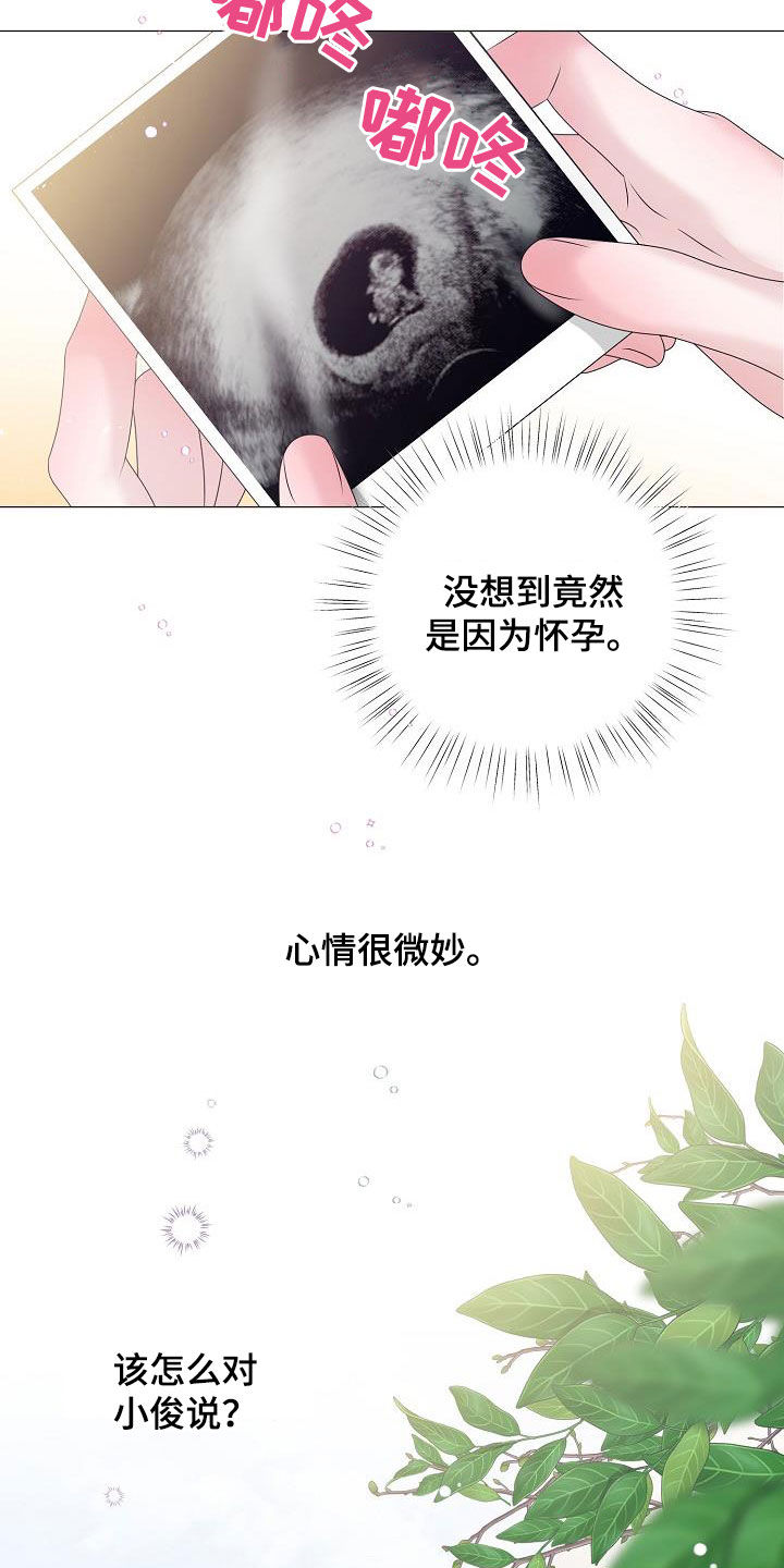 《占为己有》第58章怀孕 第21页
