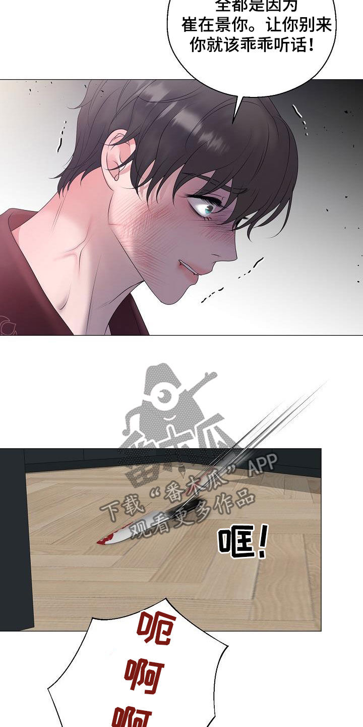 《占为己有》第60章刺伤 第28页