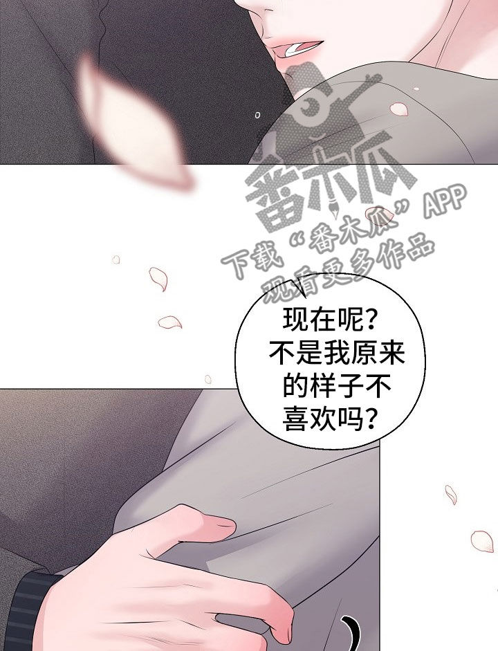 《占为己有》第53章只要是你就行 第17页