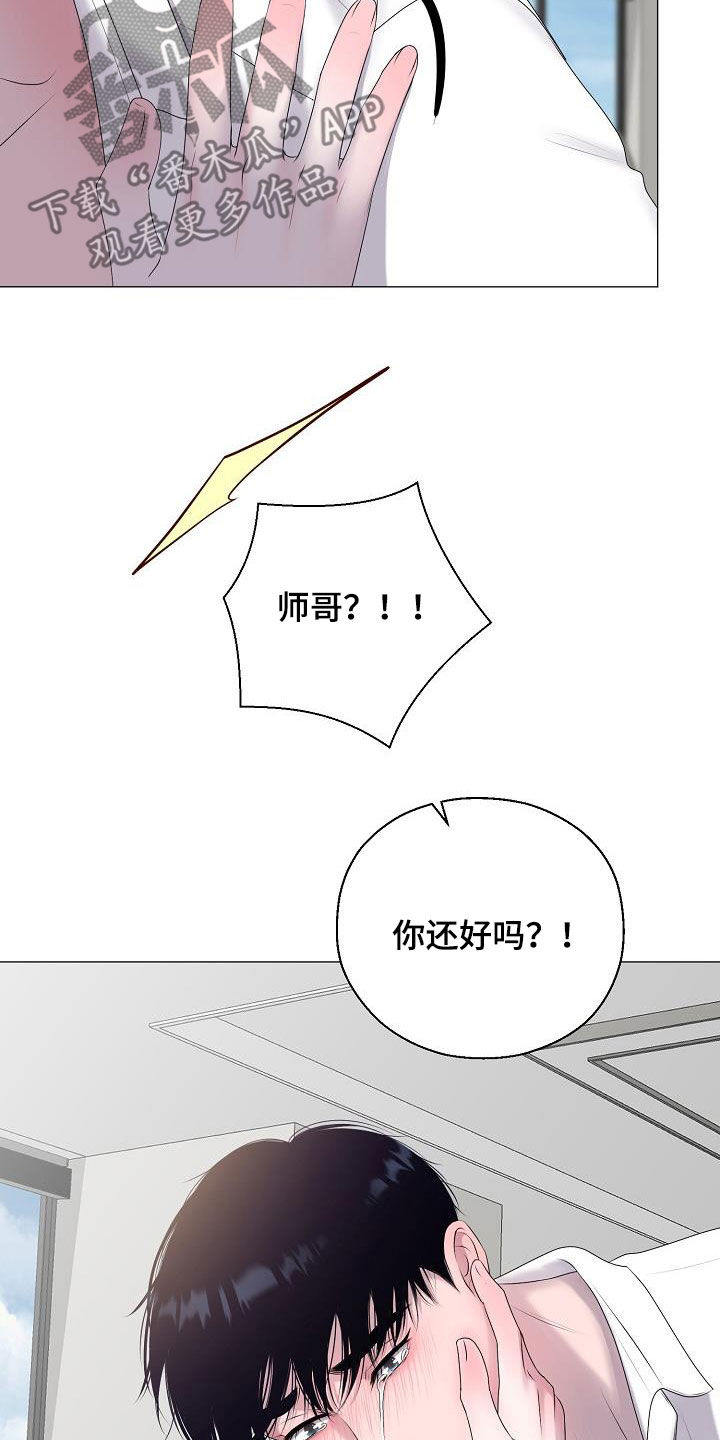 《占为己有》第42章晕厥 第3页