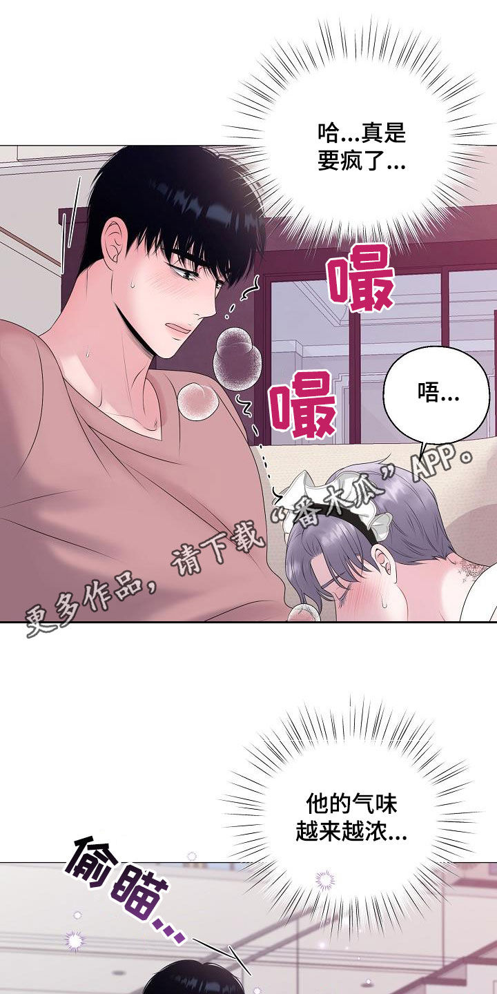 《占为己有》第36章被你逼疯 第1页