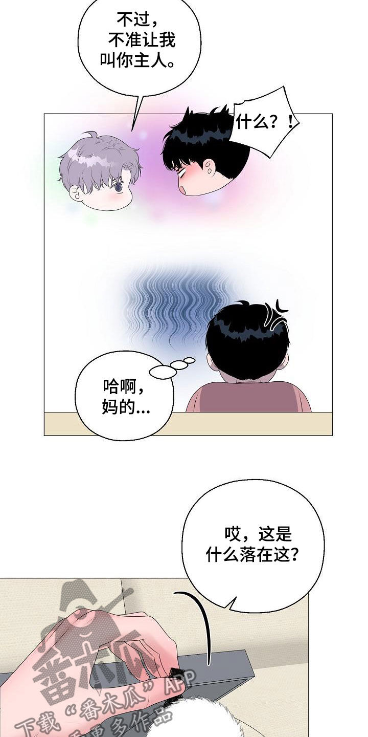 《占为己有》第35章再穿一次 第11页