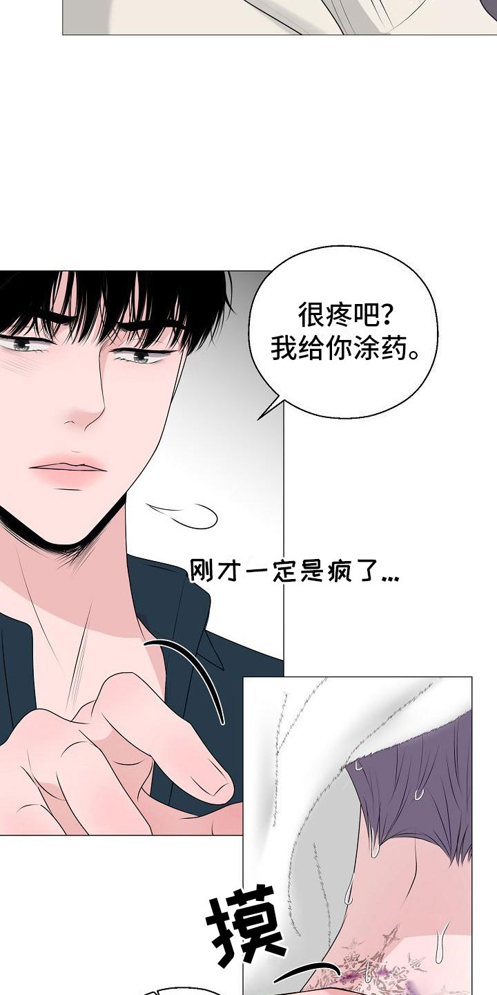 《占为己有》第11章傀儡 第4页