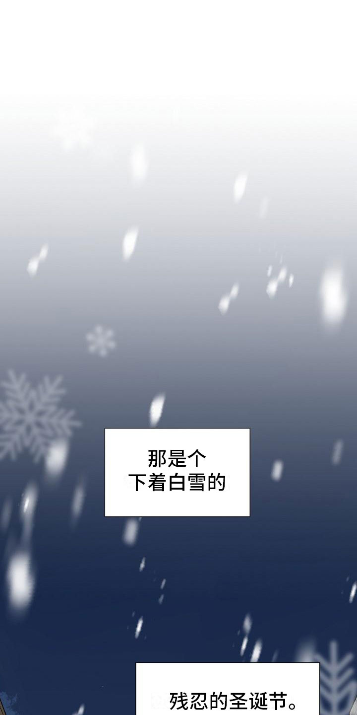 《占为己有》第1章白色圣诞节 第20页