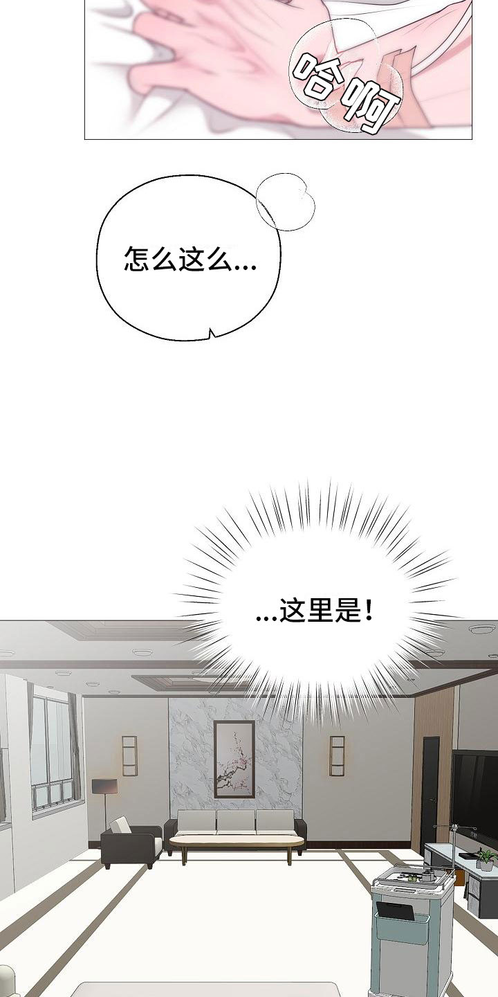 《占为己有》第3章活下来的人 第15页