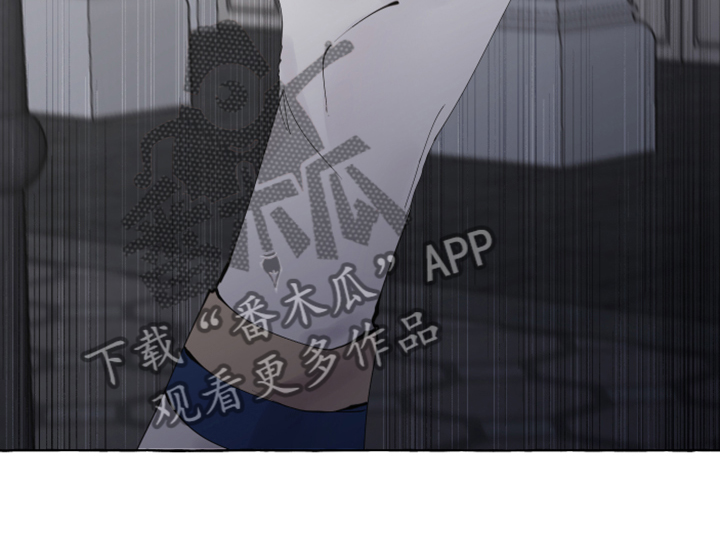《盛情邀约》第101章【番外】从未喜欢过 第16页