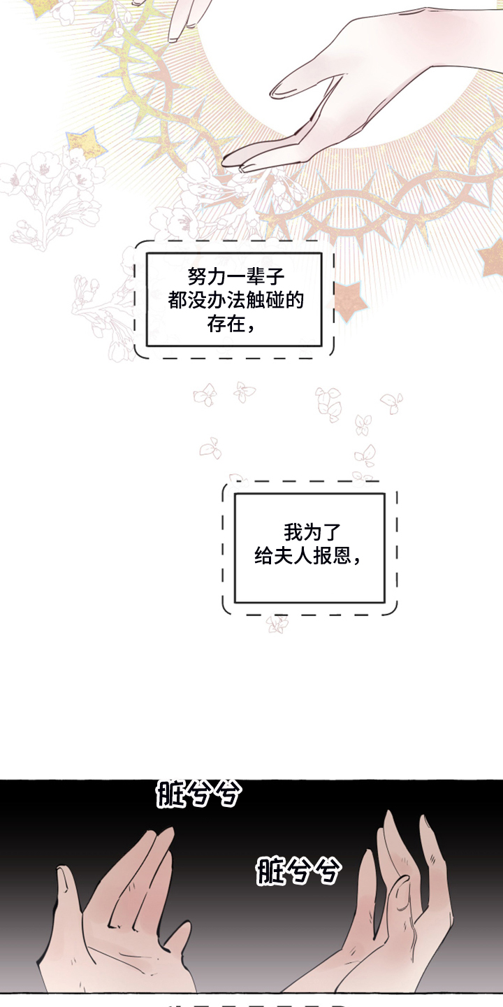 《盛情邀约》第97章【番外】从那天起 第13页