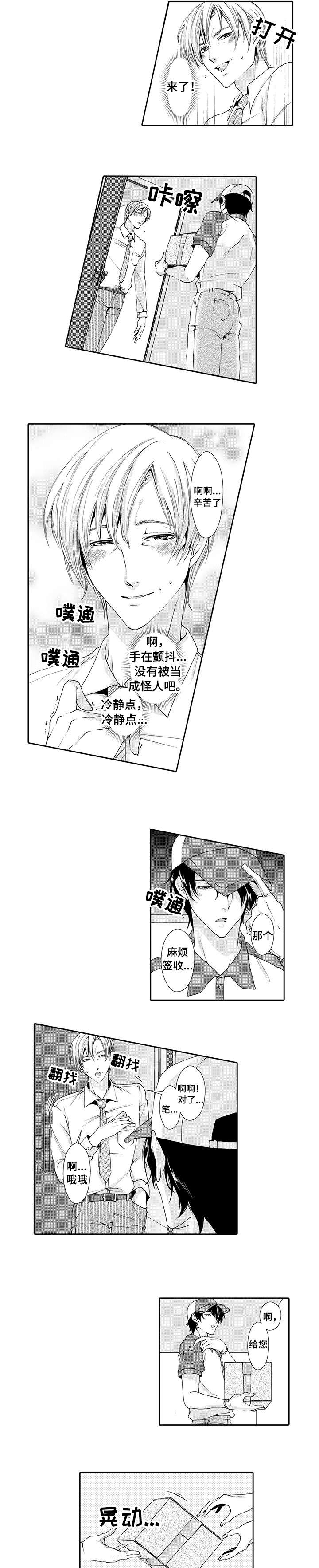 《与他一同堕落》第1章快递 第5页