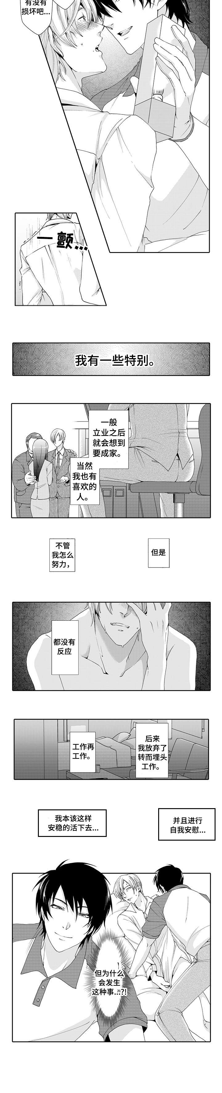 《与他一同堕落》第1章快递 第8页
