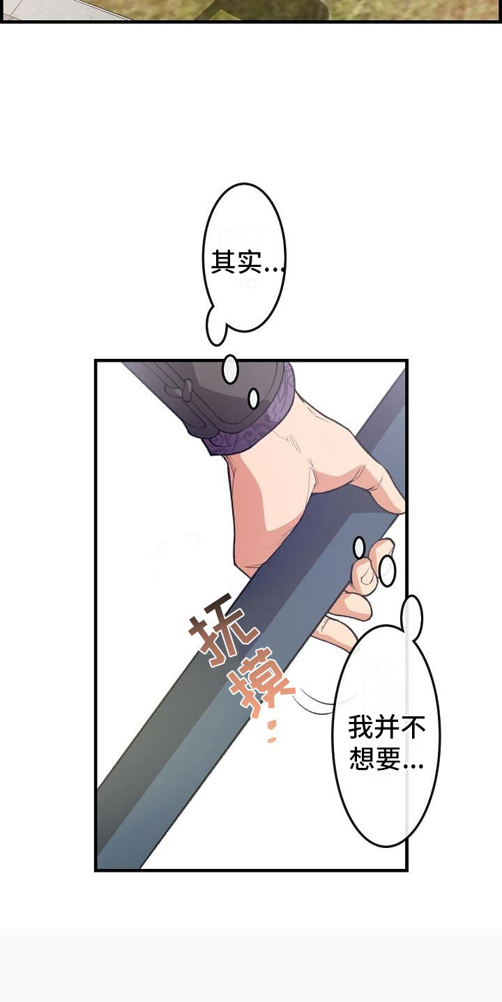 《云起洛阳》第24章秘密 第14页