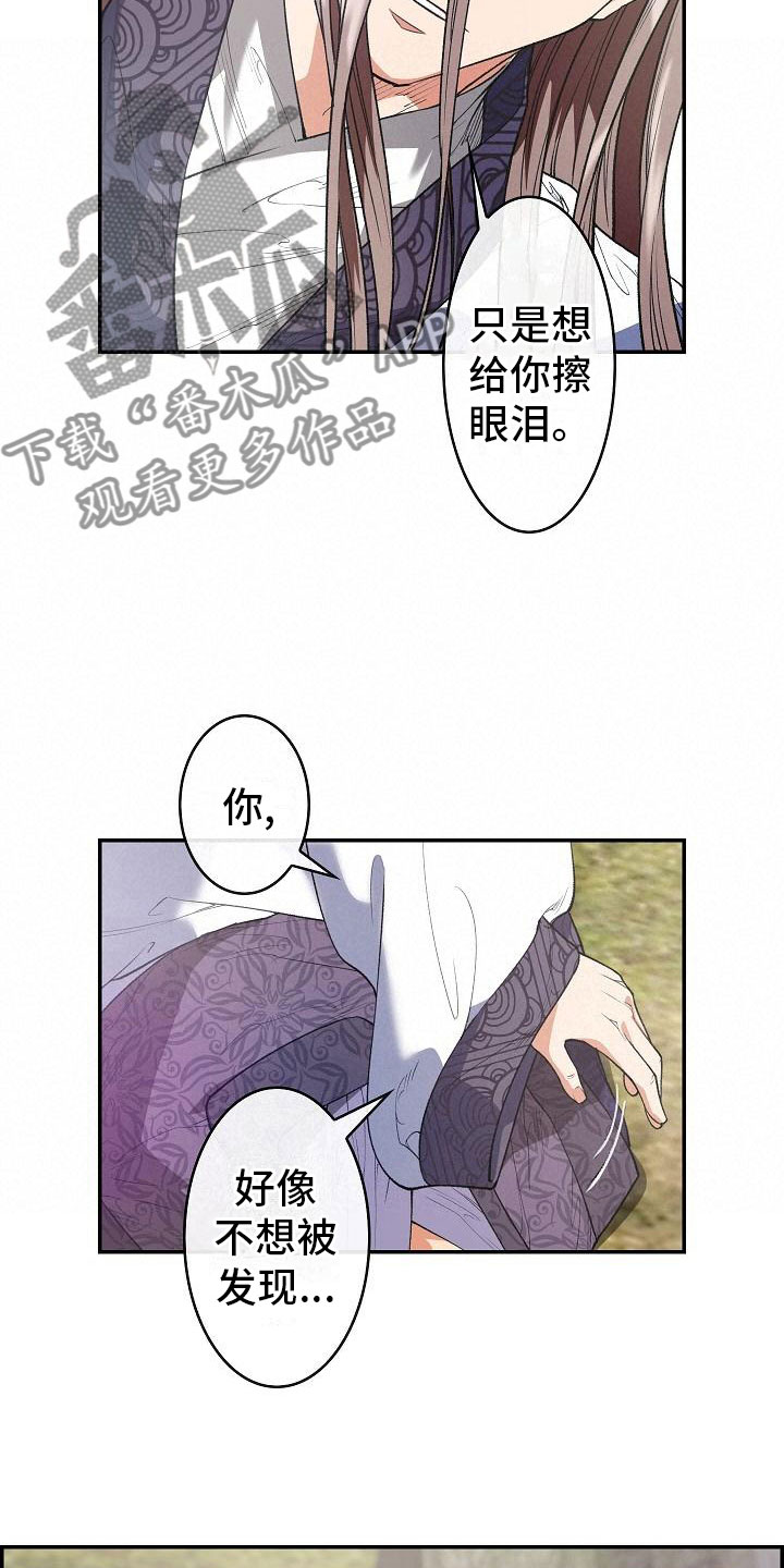 《云起洛阳》第23章眼泪 第20页