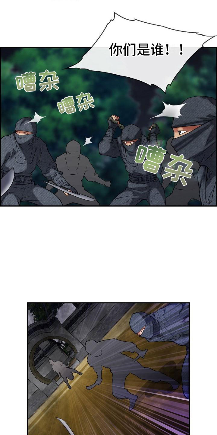 《云起洛阳》第16章夜袭 第12页