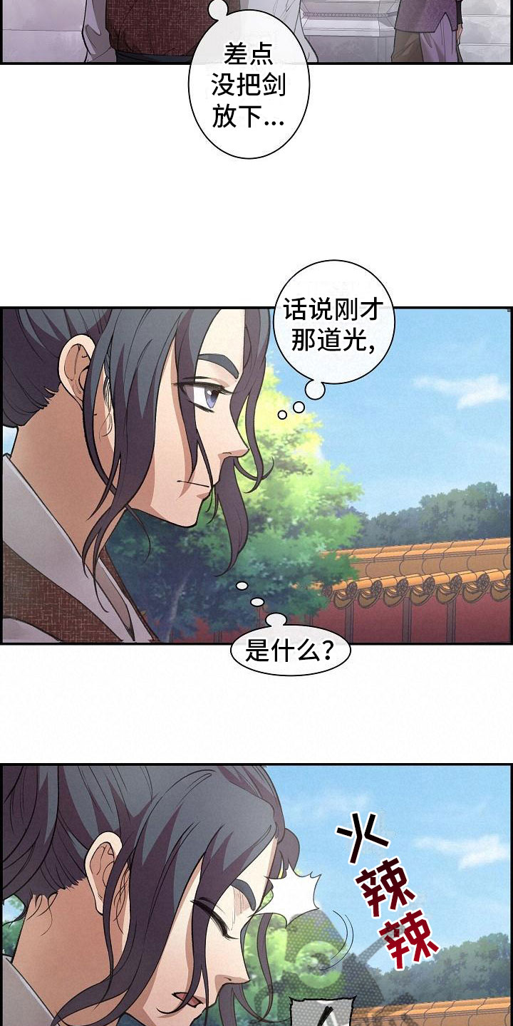 《云起洛阳》第4章暗器 第13页