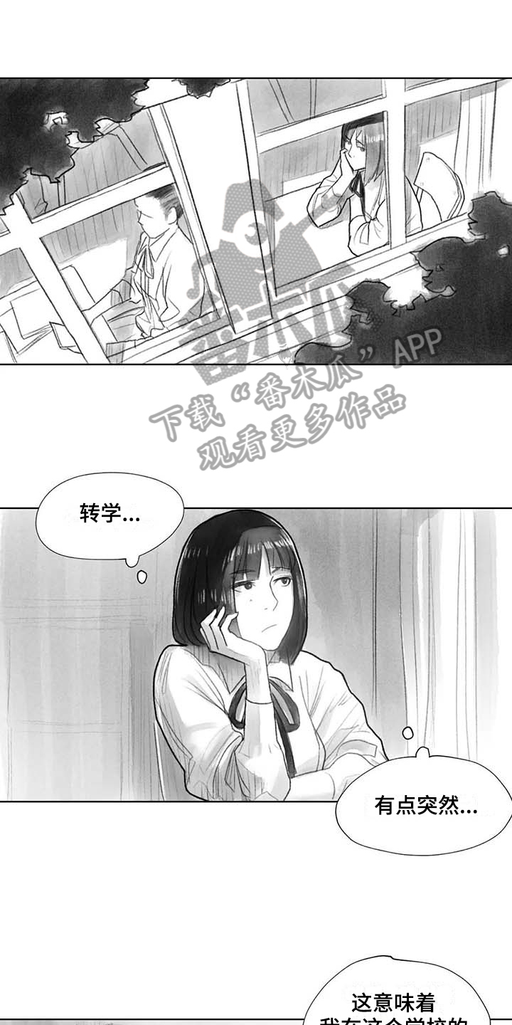 《断翼之歌》第36章在意 第1页