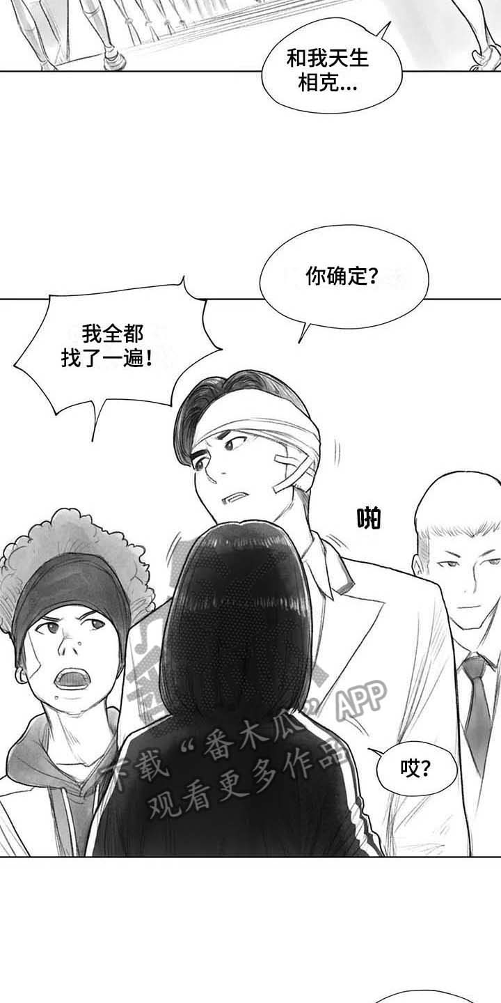 《断翼之歌》第32章了解 第4页