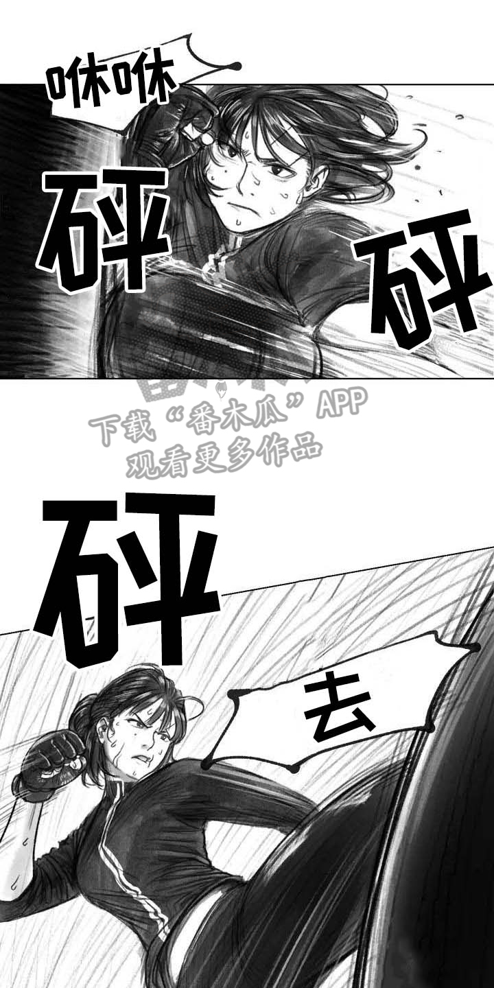 《断翼之歌》第27章线索 第1页