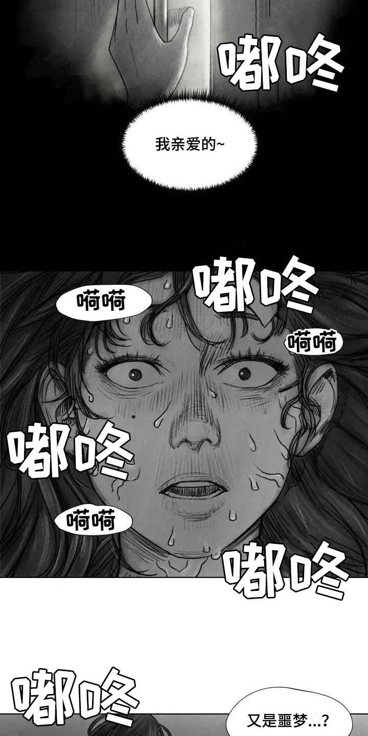 《断翼之歌》第26章噩梦 第11页