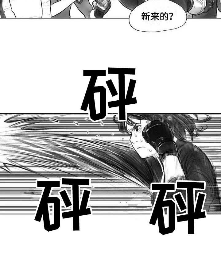 《断翼之歌》第26章噩梦 第15页