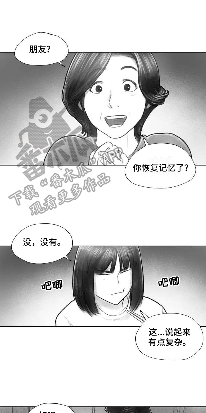 《断翼之歌》第22章疑惑 第8页
