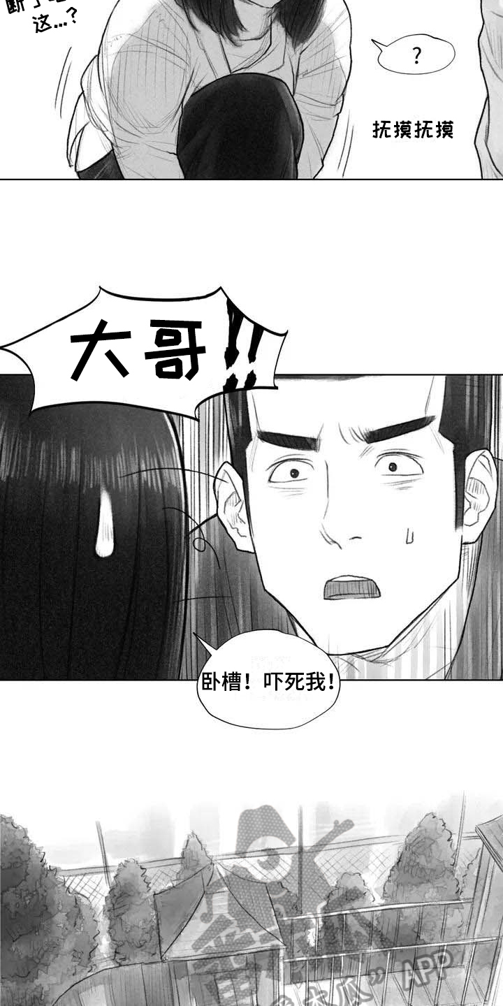 《断翼之歌》第17章深刻 第4页